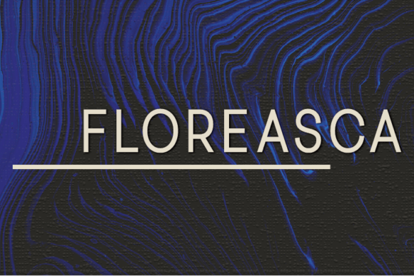 Floreasca: A Modern Sans Serif Review