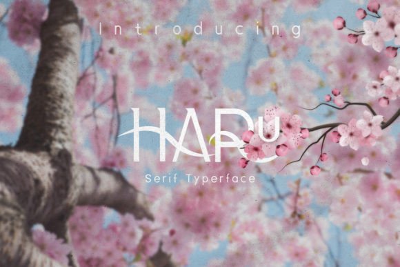Haru: A Slab Serif That Earns Its Space