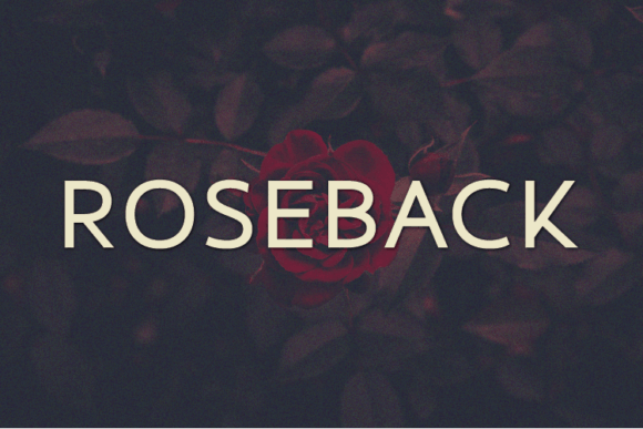 Roseback: A Modern Sans Serif Font for Digital Design