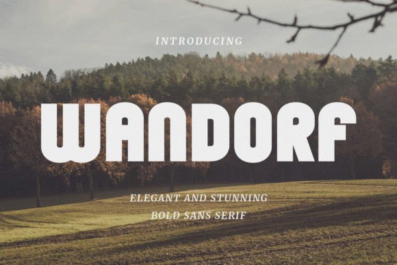 Wandorf: A Bold Font for Business