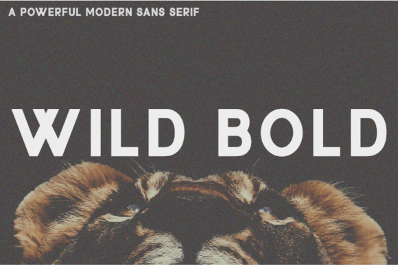 Wild Bold: A Sans Serif Font That Makes Your Campaigns Instantly Clear