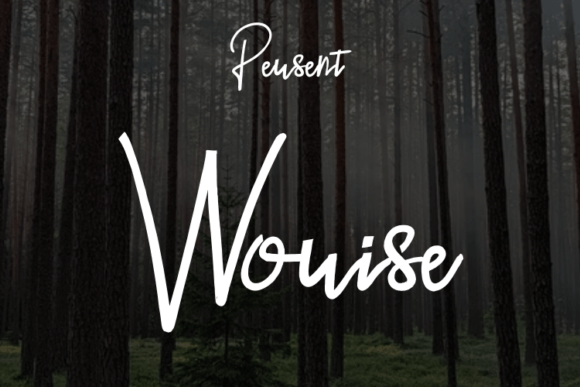 Worise: A Font for Bold Branding